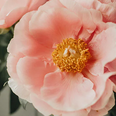 免费VPN节点 | 3月30日19.4M/S|免费Shadowrocket节点/Singbox节点/Trojan节点/SSR节点/Clash节点/V2ray节点机场推荐，在线Clash机场梯子购买推荐