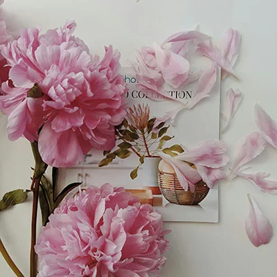 免费VPN节点 | 3月17日18.5M/S|免费V2ray节点/SSR节点/Shadowrocket节点/Trojan节点/Singbox节点/Clash节点机场推荐，在线Clash机场梯子购买推荐