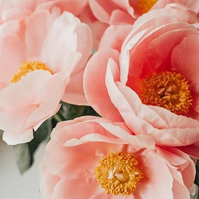 云速科学上网工具深度评测：速度与隐私能否兼得？