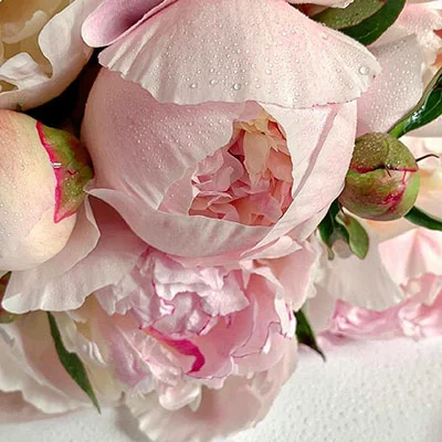 免费VPN节点 | 3月15日19M/S|免费Trojan节点/SSR节点/Singbox节点/V2ray节点/Shadowrocket节点/Clash节点机场推荐，在线Clash机场梯子购买推荐