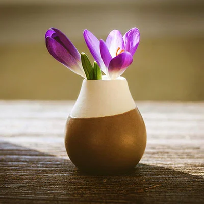 免费VPN节点 | 3月18日22.2M/S|免费Shadowrocket节点/V2ray节点/SSR节点/Singbox节点/Trojan节点/Clash节点机场推荐，在线Clash机场梯子购买推荐