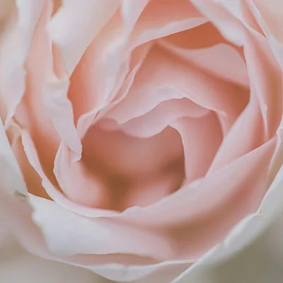 免费VPN节点 | 3月19日20.4M/S|免费Shadowrocket节点/Singbox节点/SSR节点/Clash节点/Trojan节点/V2ray节点机场推荐，在线Clash机场梯子购买推荐