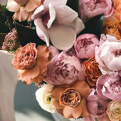 免费VPN节点 | 3月26日19.2M/S|免费Singbox节点/SSR节点/Shadowrocket节点/Trojan节点/Clash节点/V2ray节点机场推荐，在线Clash机场梯子购买推荐