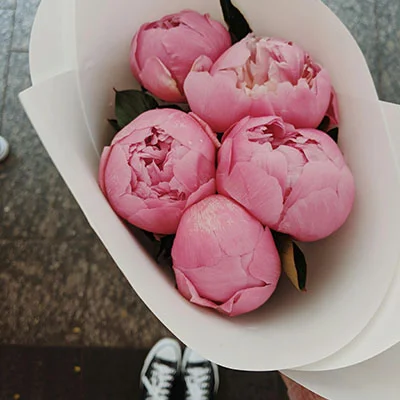 2018年Shadowrocket终极配置指南：解锁安全自由上网的密钥